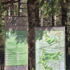 whatsapp-image-2026-03-11-at-11.58.39