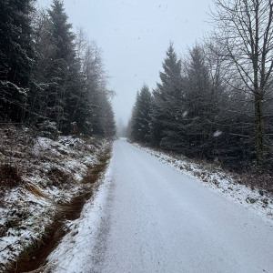 whatsapp-image-2026-03-11-at-11.58.392