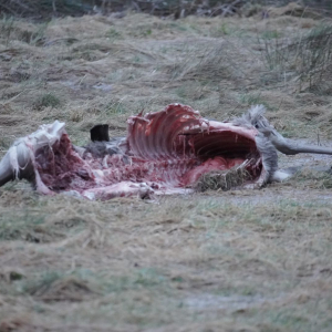 whatsapp-image-2026-03-11-at-11.58.4210