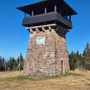 whatsapp-image-2026-03-11-at-11.58.428