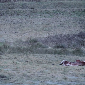 whatsapp-image-2026-03-11-at-11.58.429