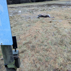 whatsapp-image-2026-03-11-at-11.58.4312